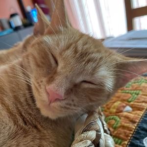 Meet your Posher, Jocelyn (ON HOLIDAY BREAK)